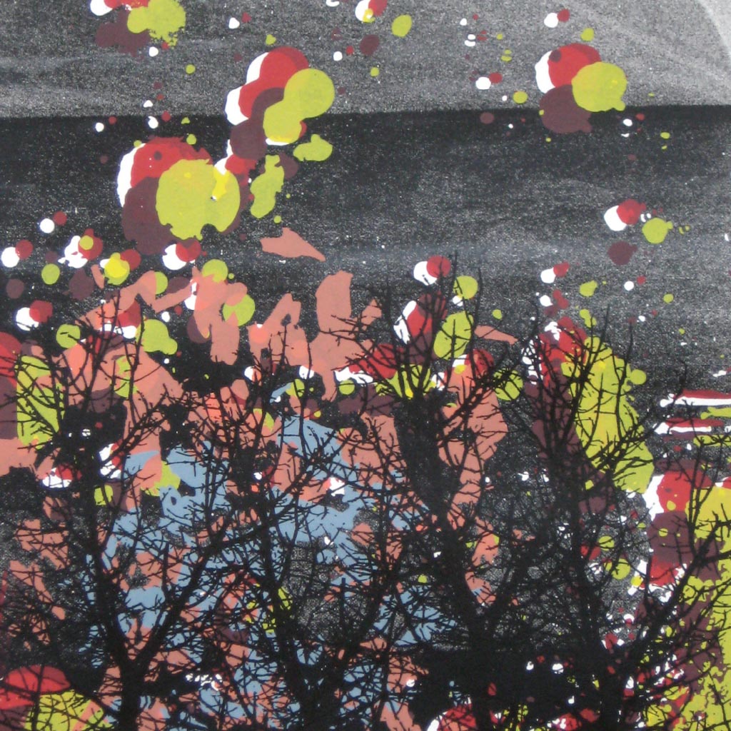 Screen Prints